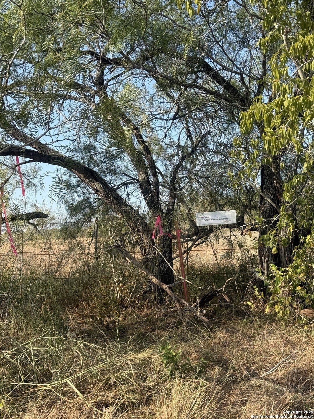 11.6 acres in Wilson County - photo 10