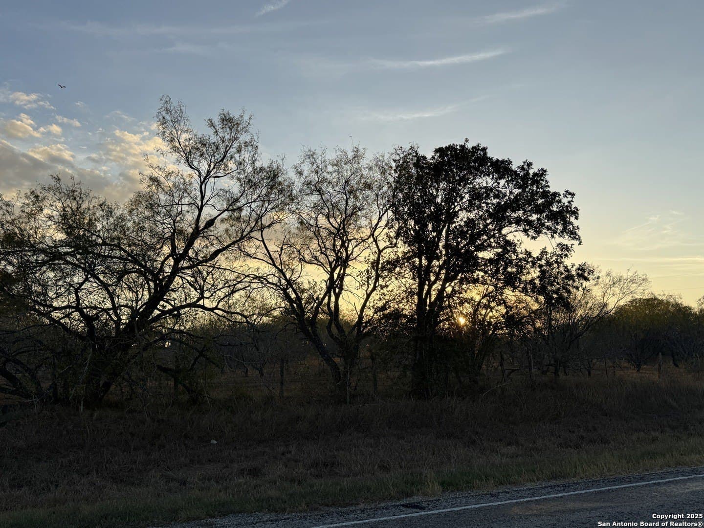 11.6 acres in Wilson County - photo 5