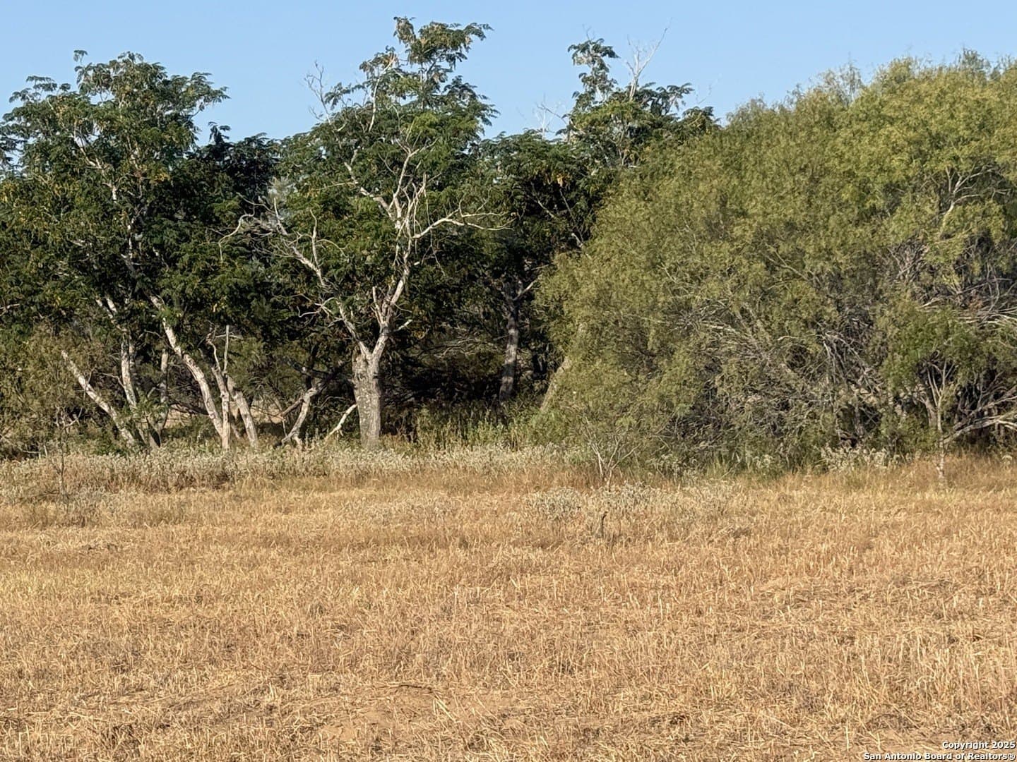 11.6 acres in Wilson County - photo 7
