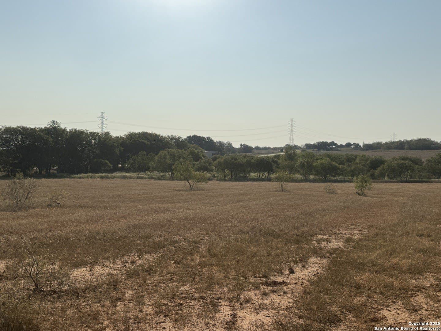 11.6 acres in Wilson County - photo 13