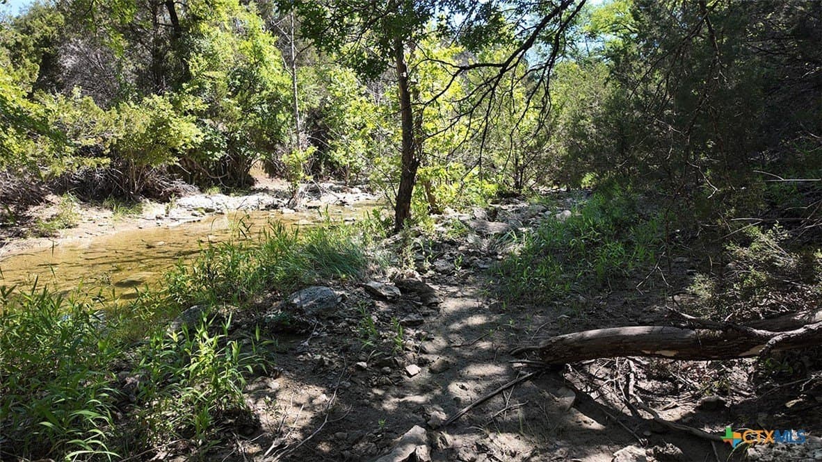 13.03 acres in Bell County - photo 21