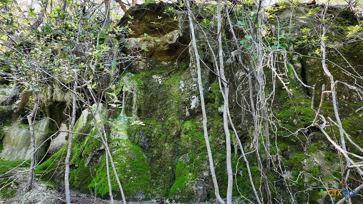13.03 acres in Bell County - photo 10