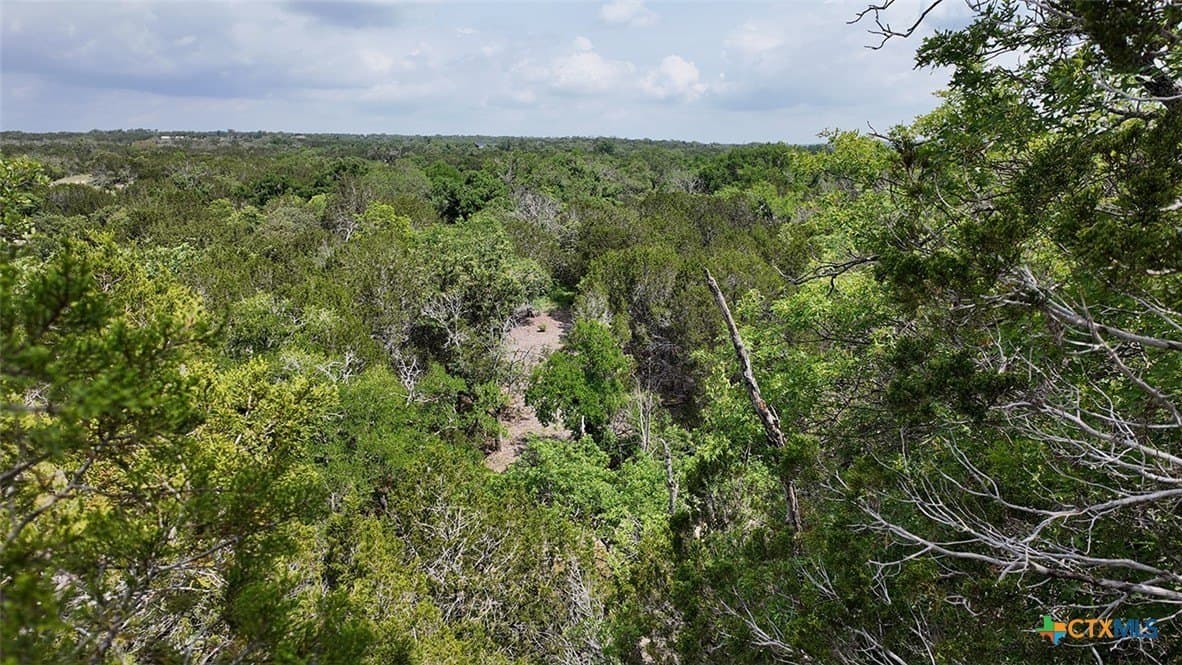 13.03 acres in Bell County - photo 9