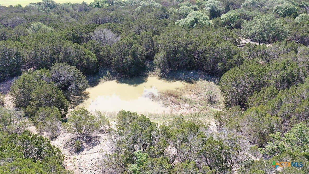 13.03 acres in Bell County - photo 14