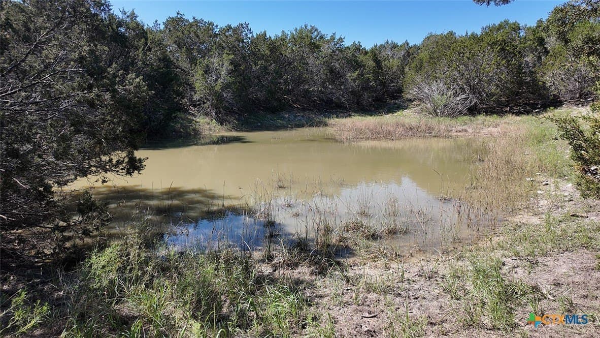 13.03 acres in Bell County - photo 13