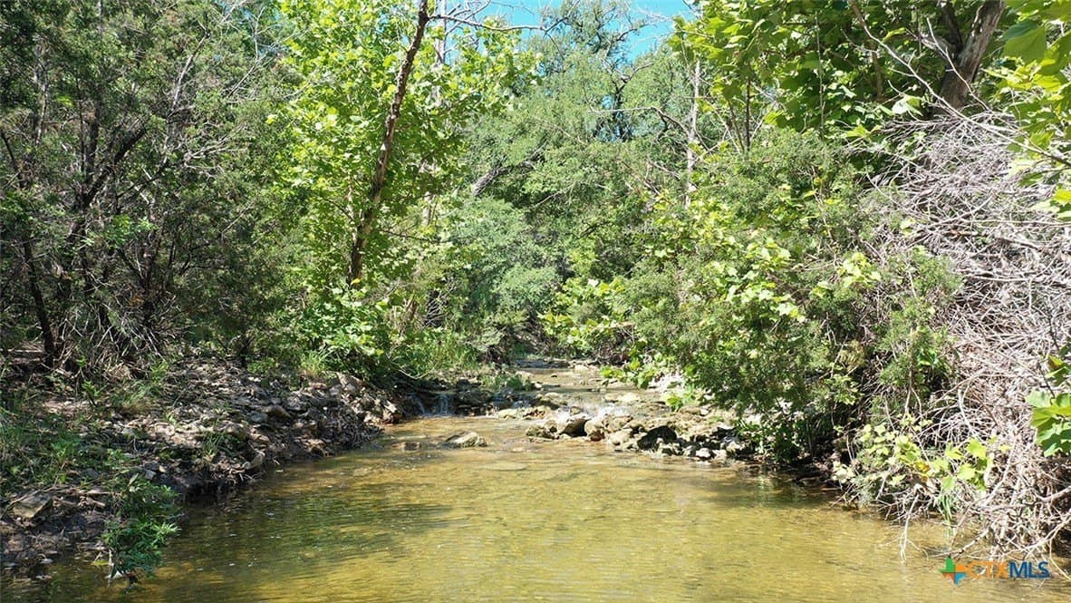 13.03 acres in Bell County - photo 17