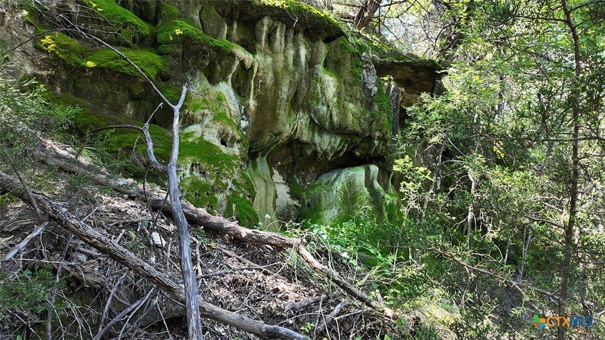 13.03 acres in Bell County - photo 11
