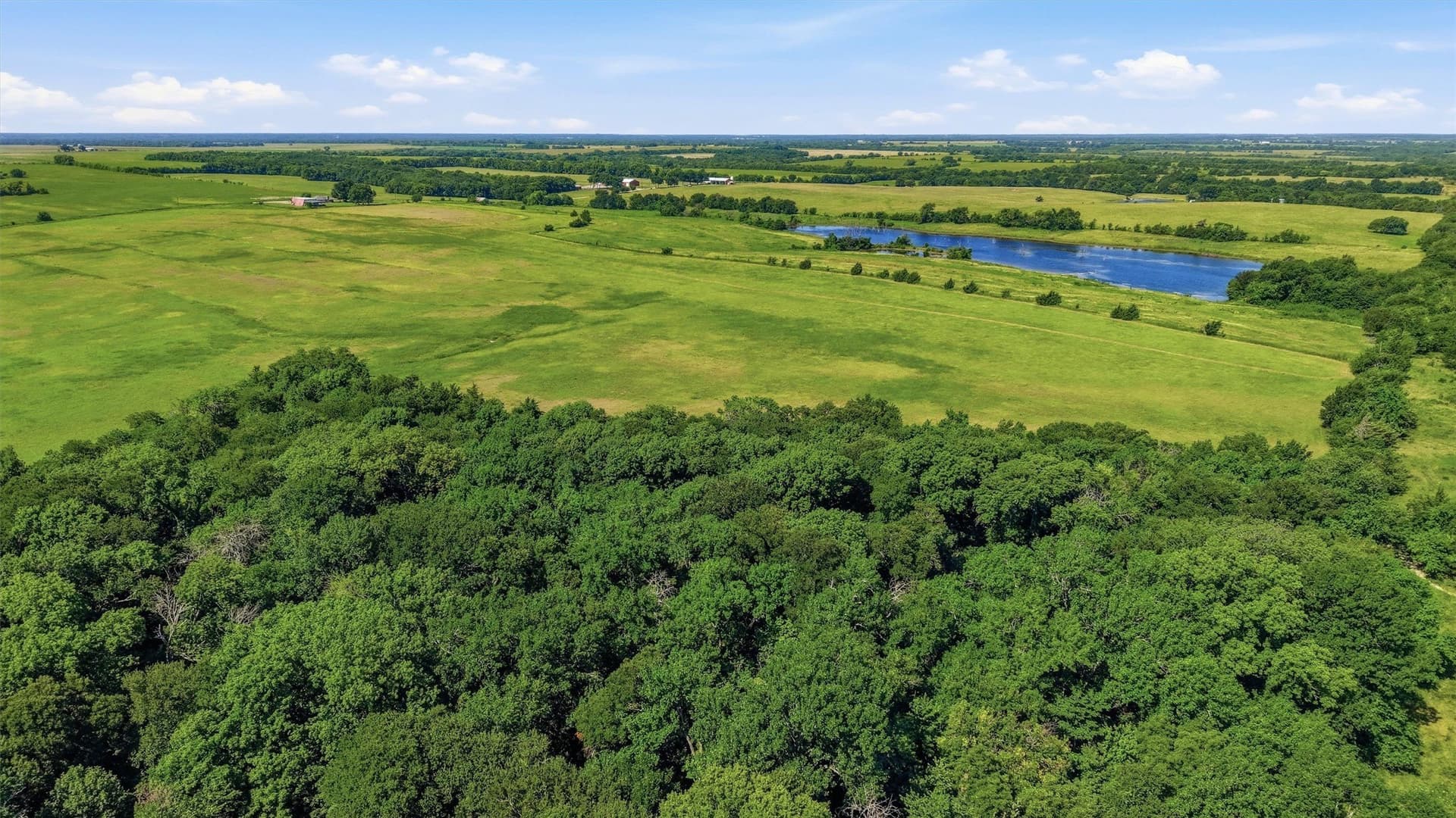 111 acres in Fannin County - photo 27