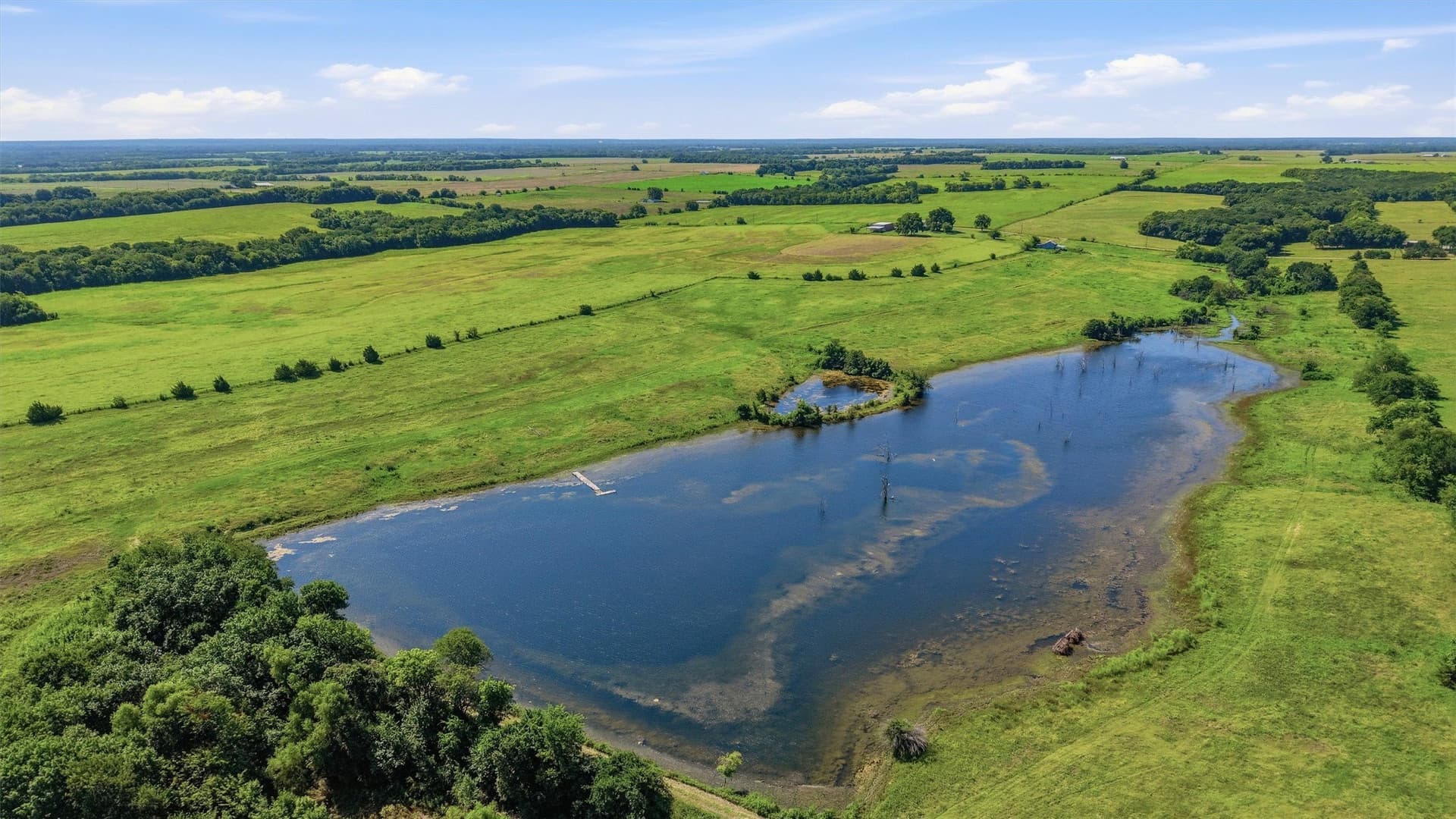 111 acres in Fannin County - photo 6