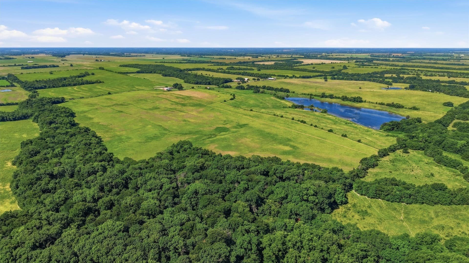 111 acres in Fannin County - photo 26