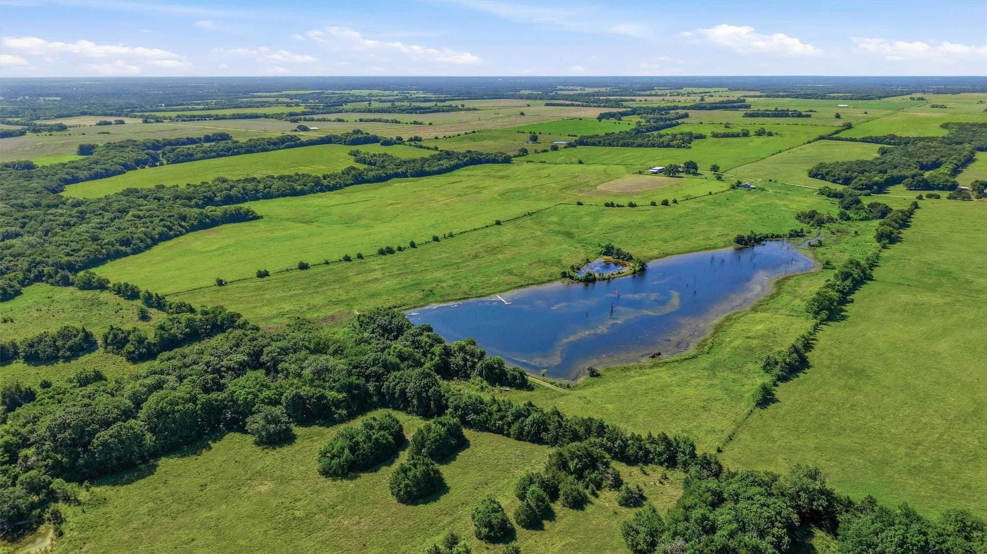 111 acres in Fannin County - photo 30