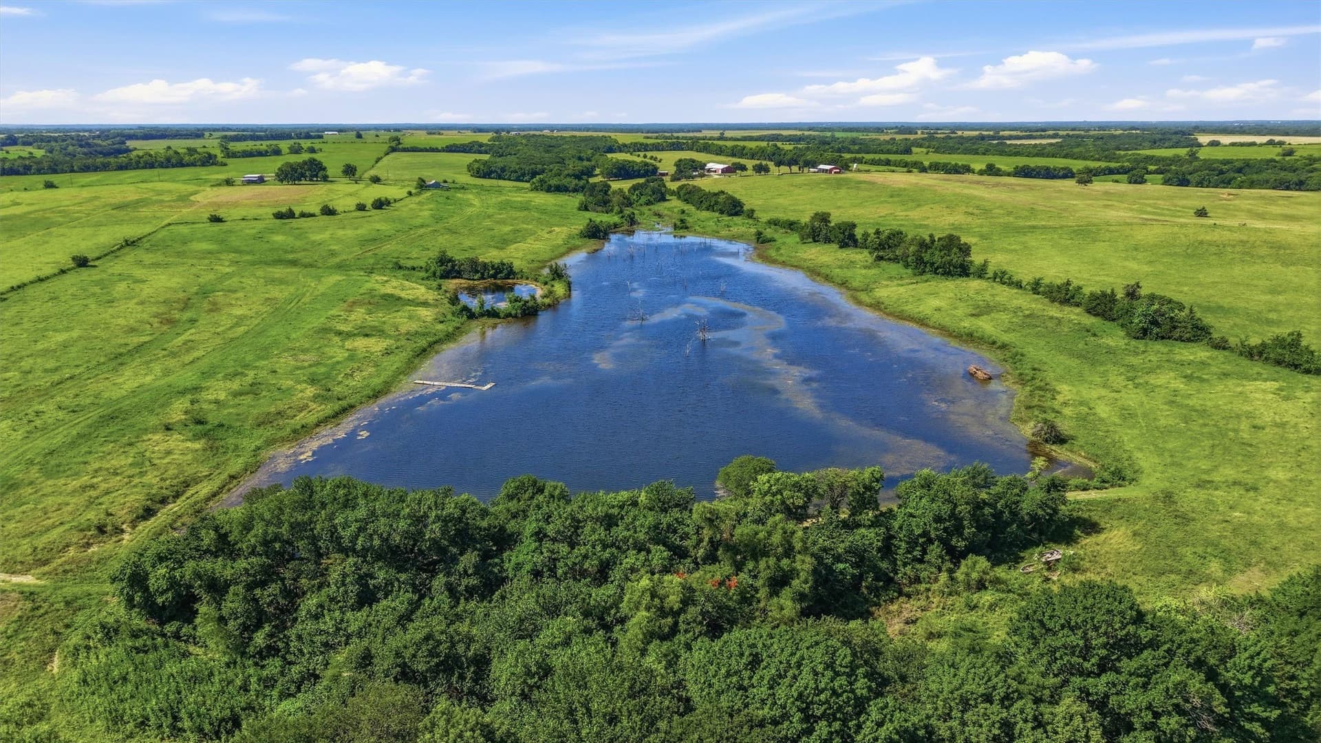 111 acres in Fannin County - photo 4