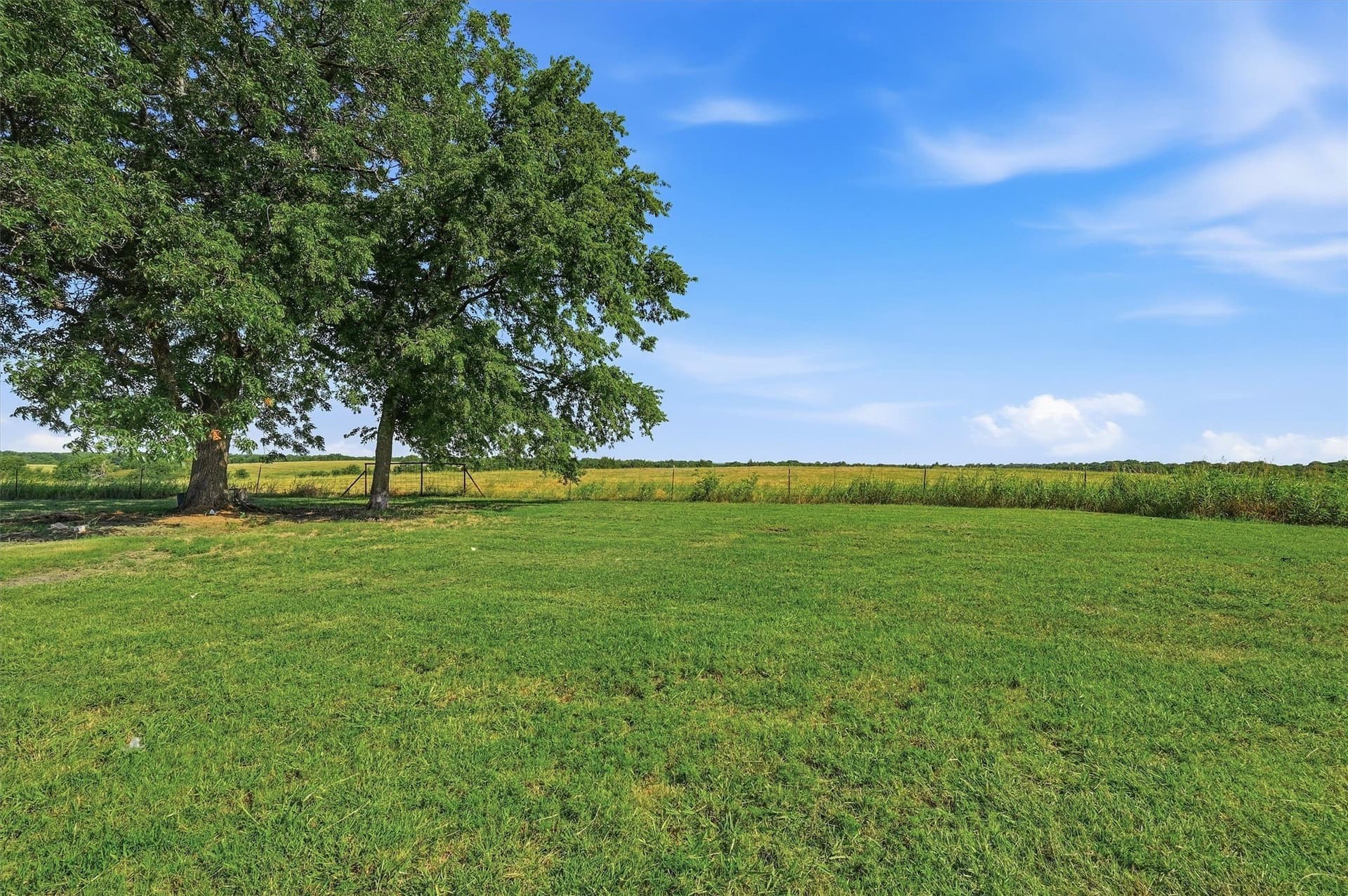 111 acres in Fannin County - photo 10