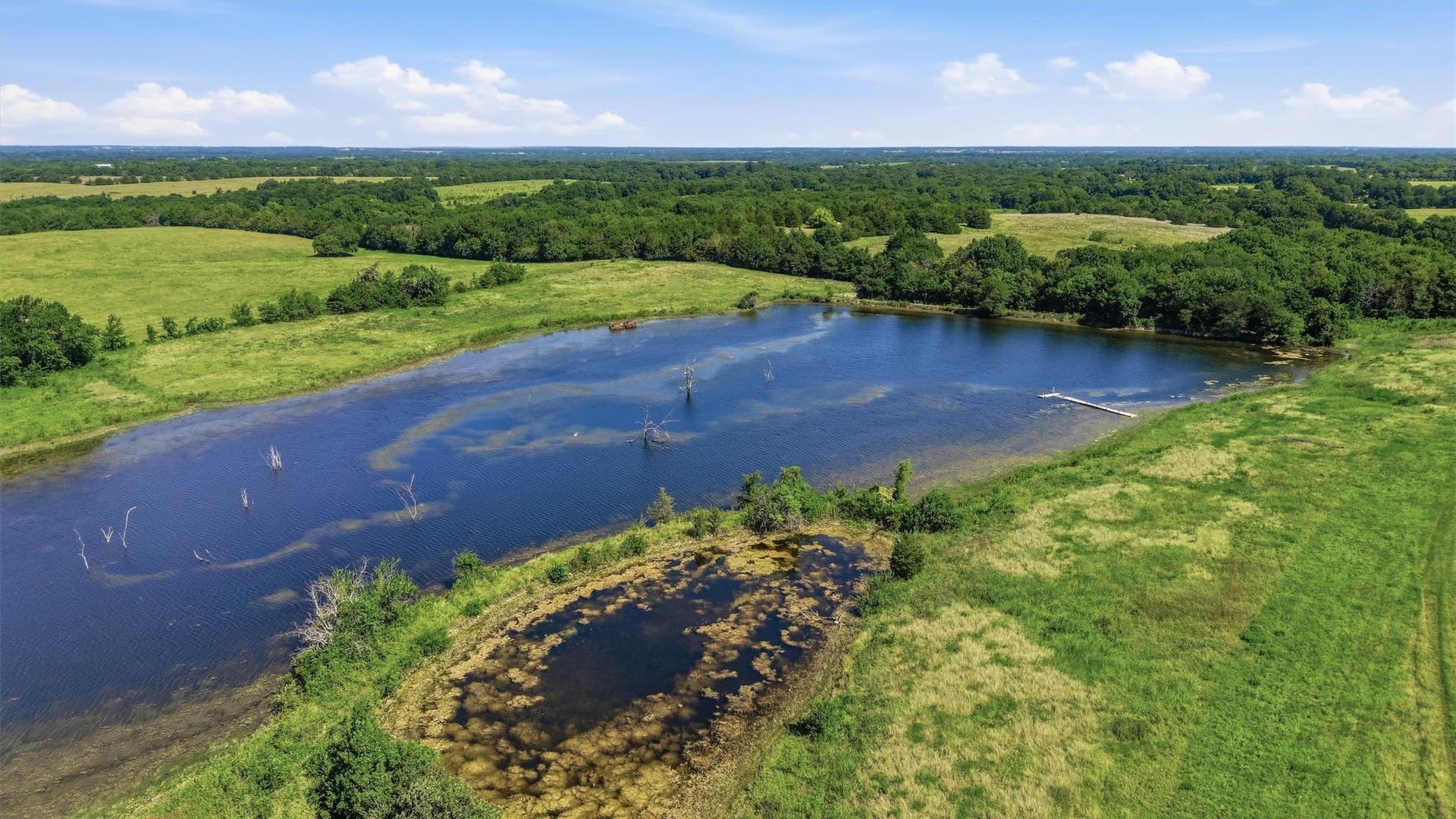 111 acres in Fannin County - photo 29