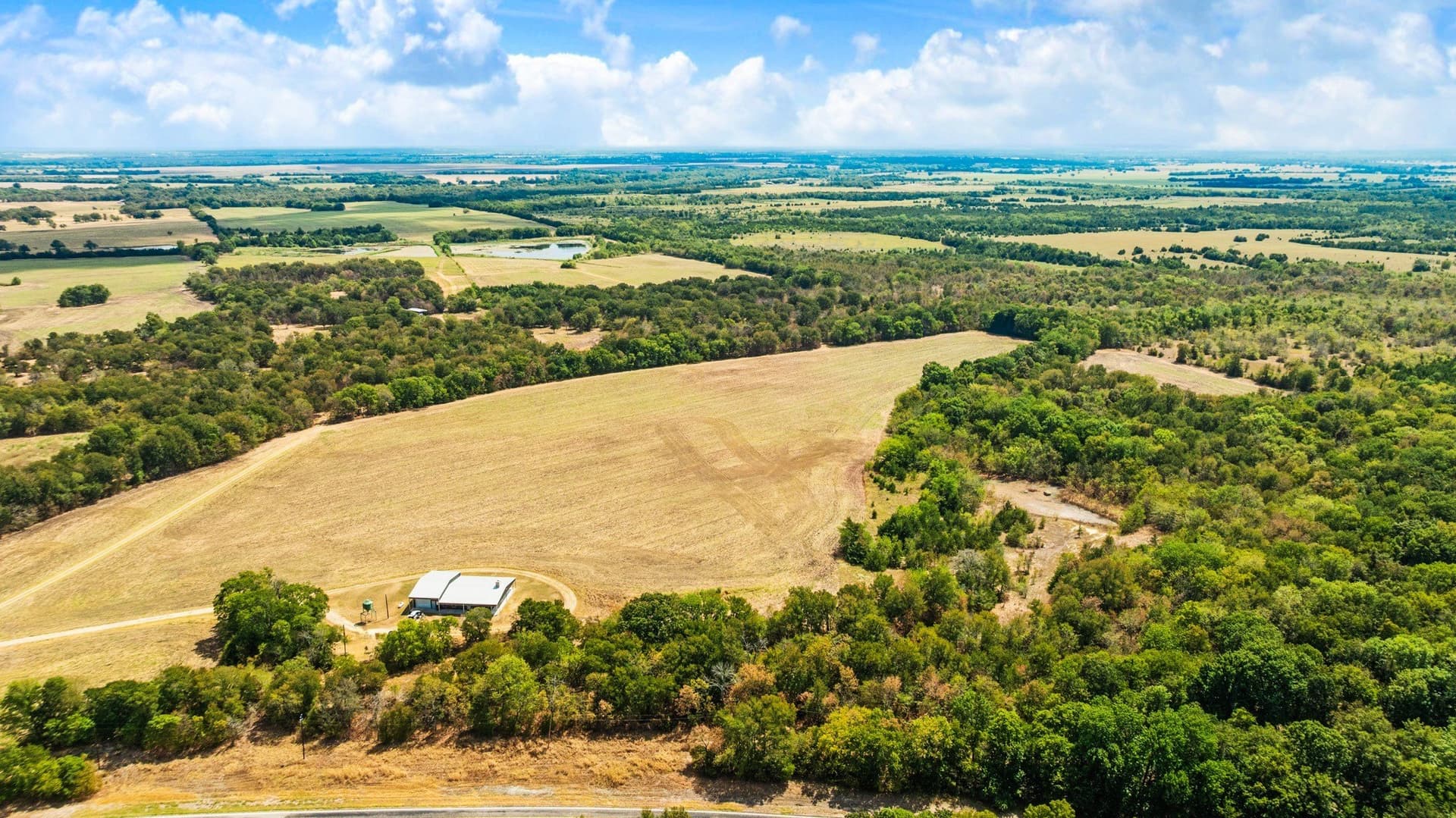 207.7 acres in Lamar County - photo 5