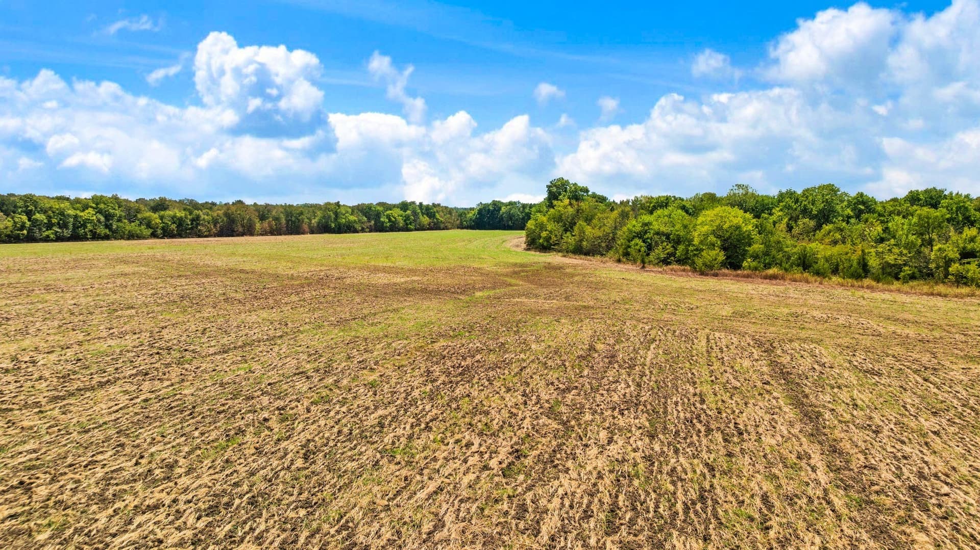 207.7 acres in Lamar County - photo 4