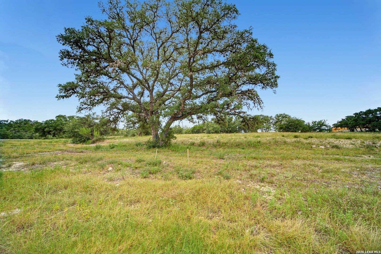 2.5 acres in Bexar County - photo 13