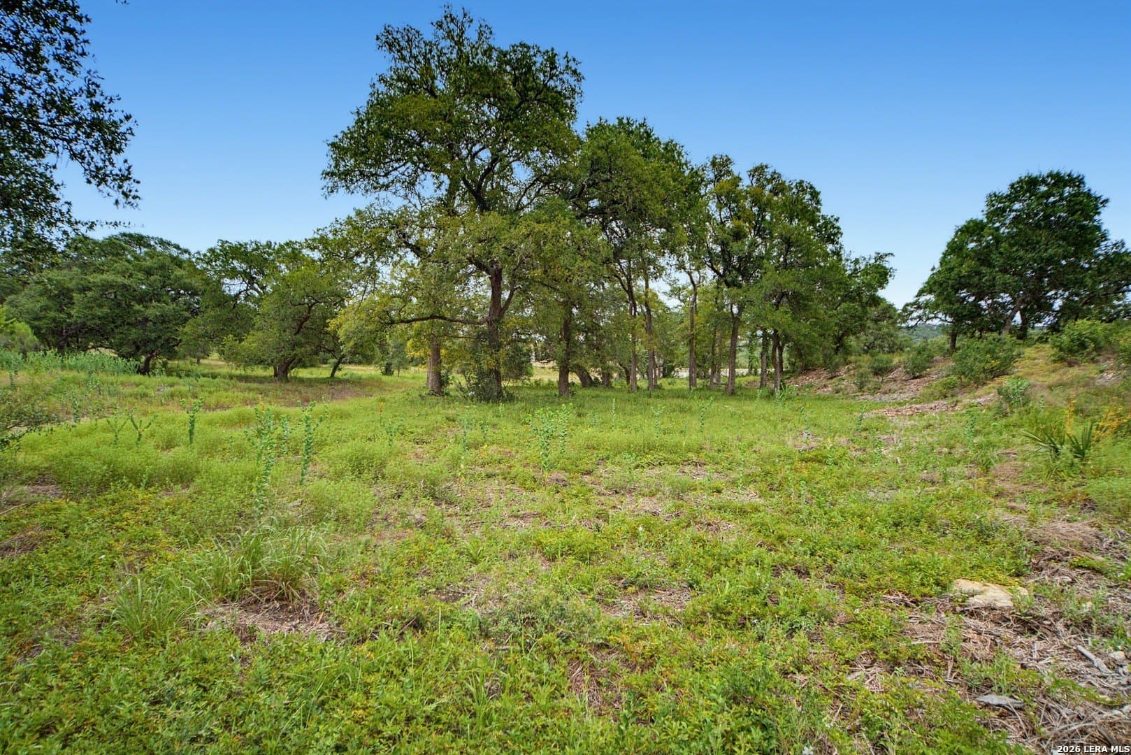 2.5 acres in Bexar County - photo 10