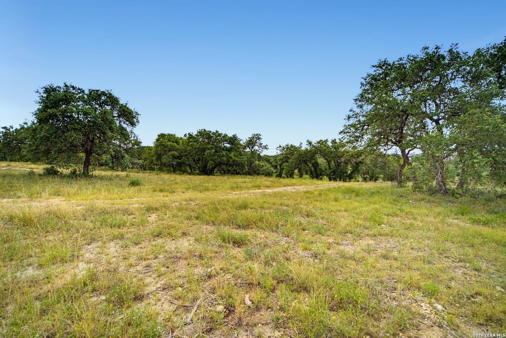2.5 acres in Bexar County - photo 14