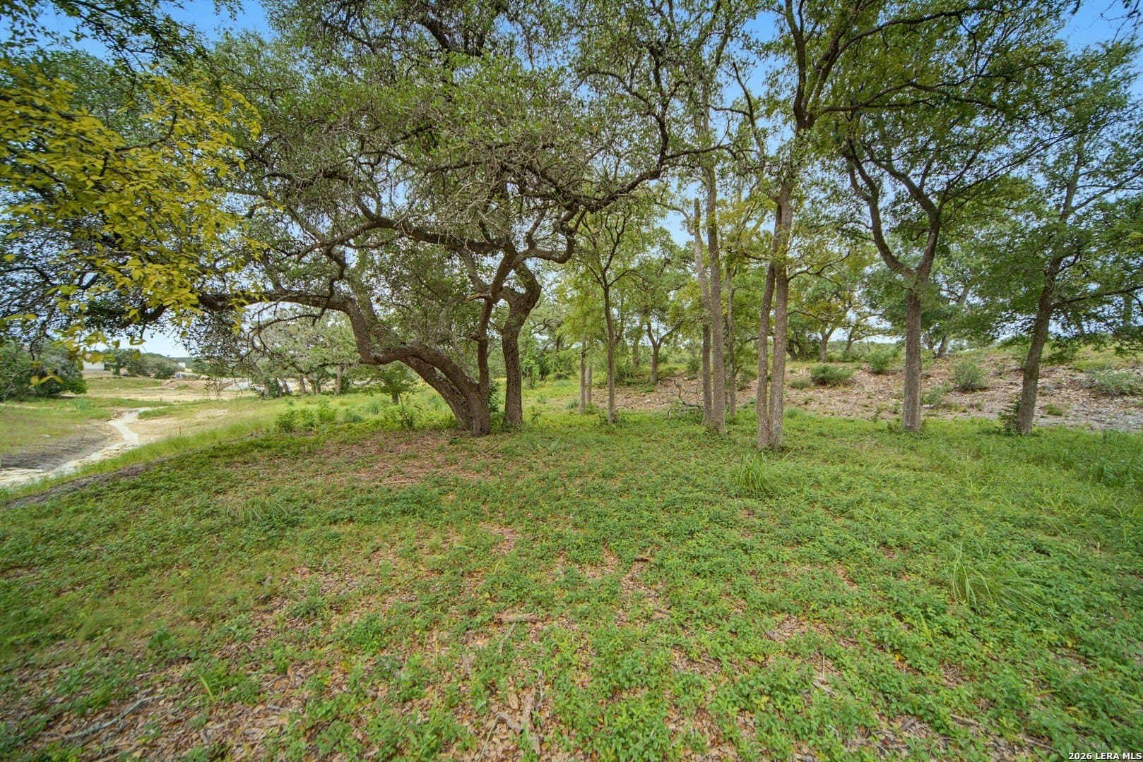 2.5 acres in Bexar County - photo 11