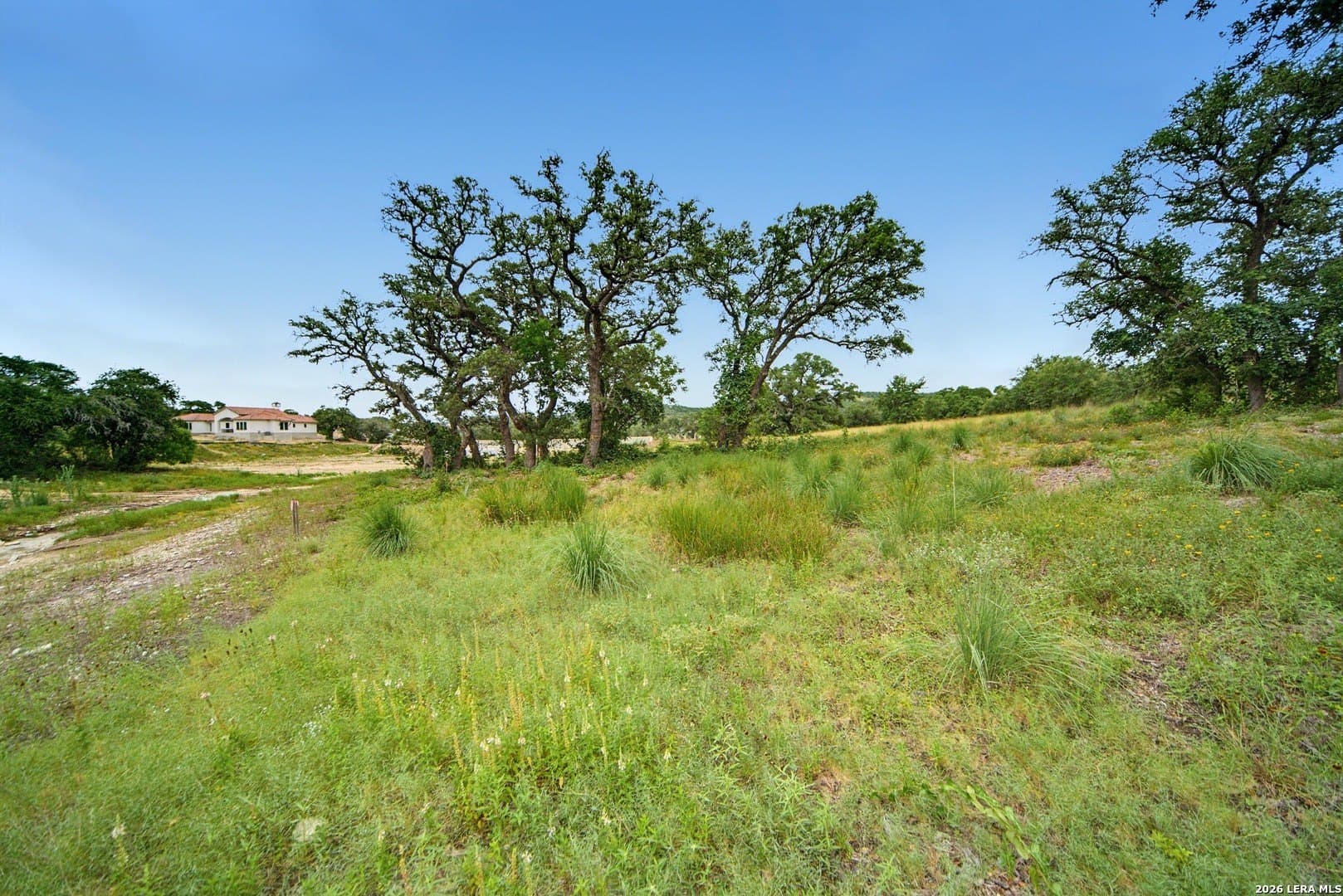 2.5 acres in Bexar County - photo 12