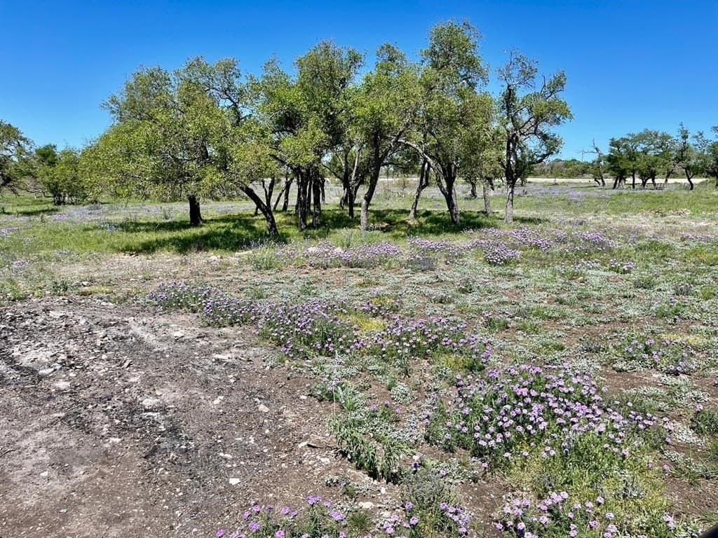 10.1 acres in Gillespie County gallery image 3