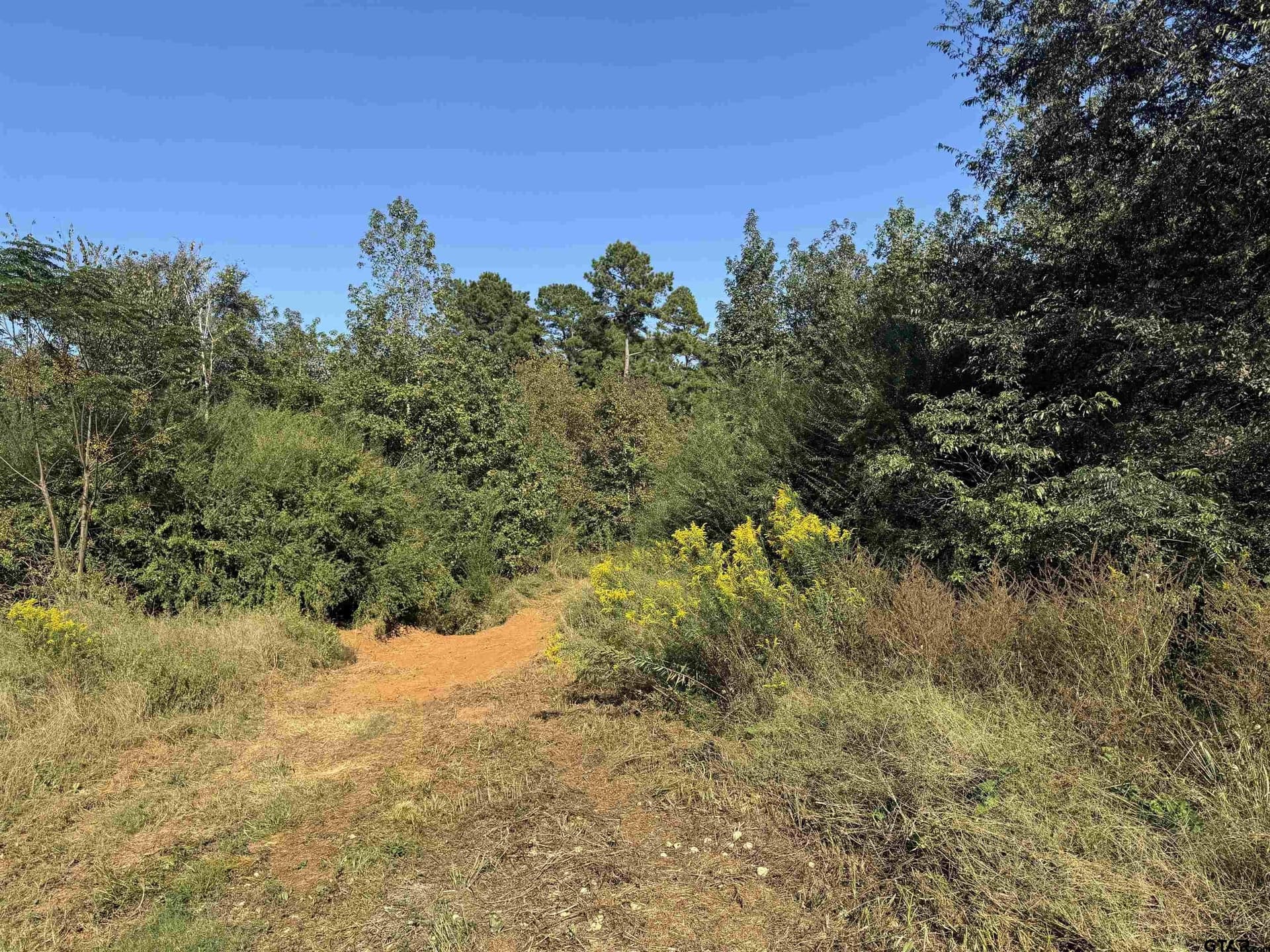 27.62 acres in Cherokee County gallery image 3