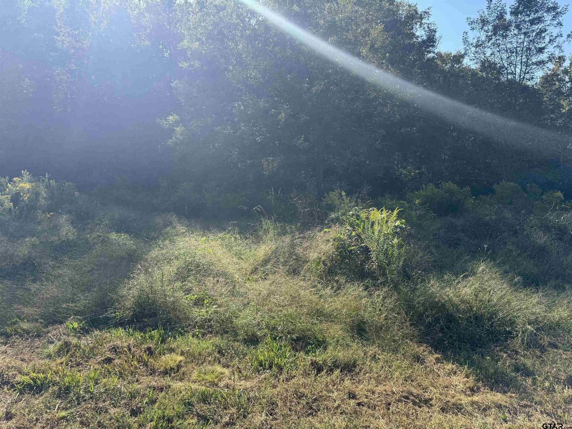 27.62 acres in Cherokee County gallery image 2