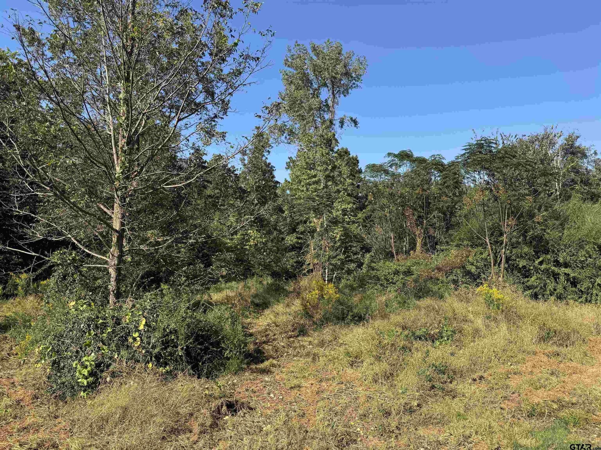 27.62 acres in Cherokee County