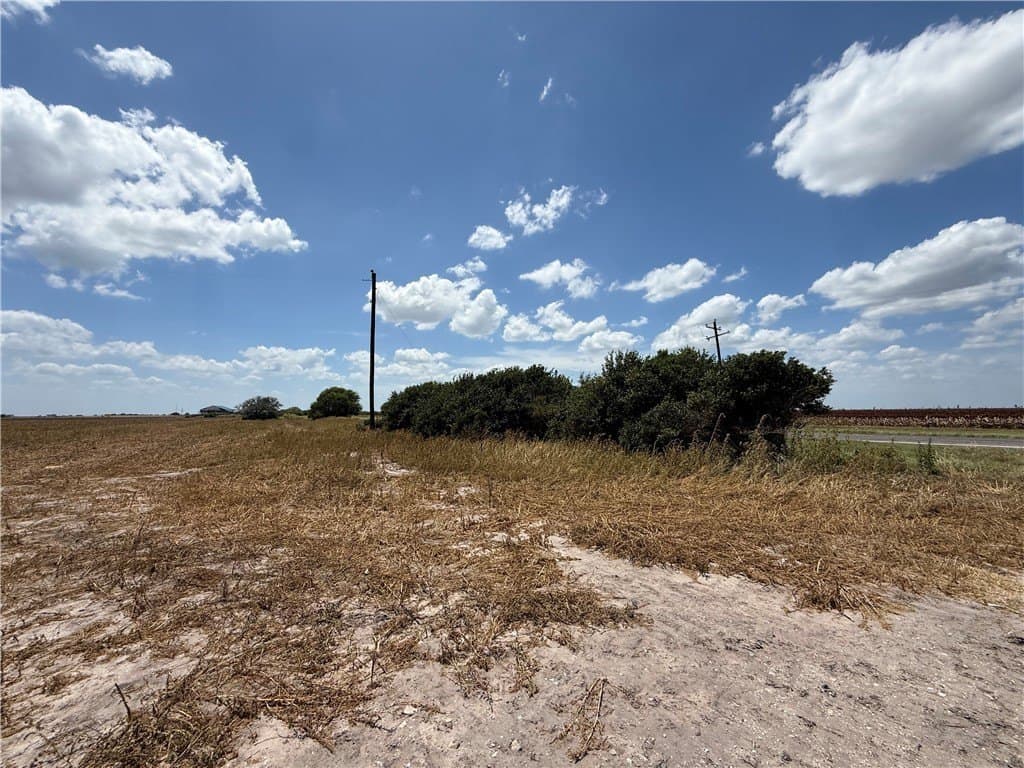 100.93 acres in Live Oak County gallery image 4