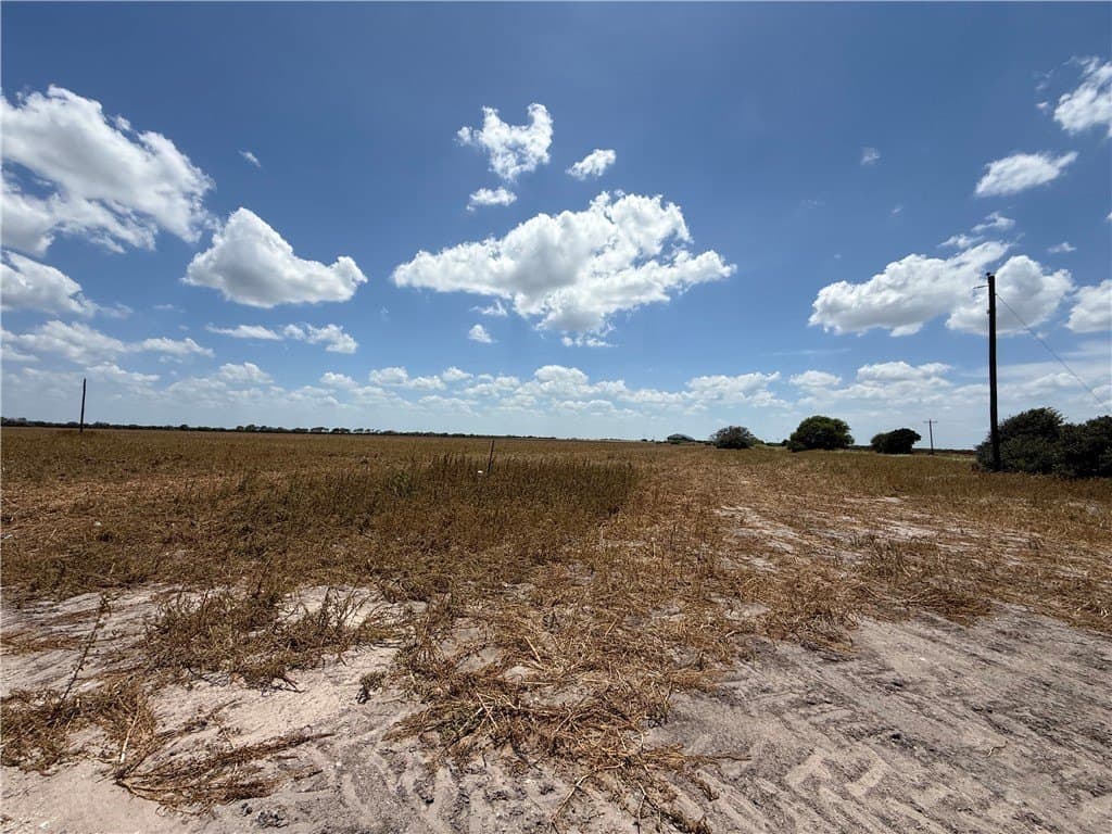 100.93 acres in Live Oak County featured view
