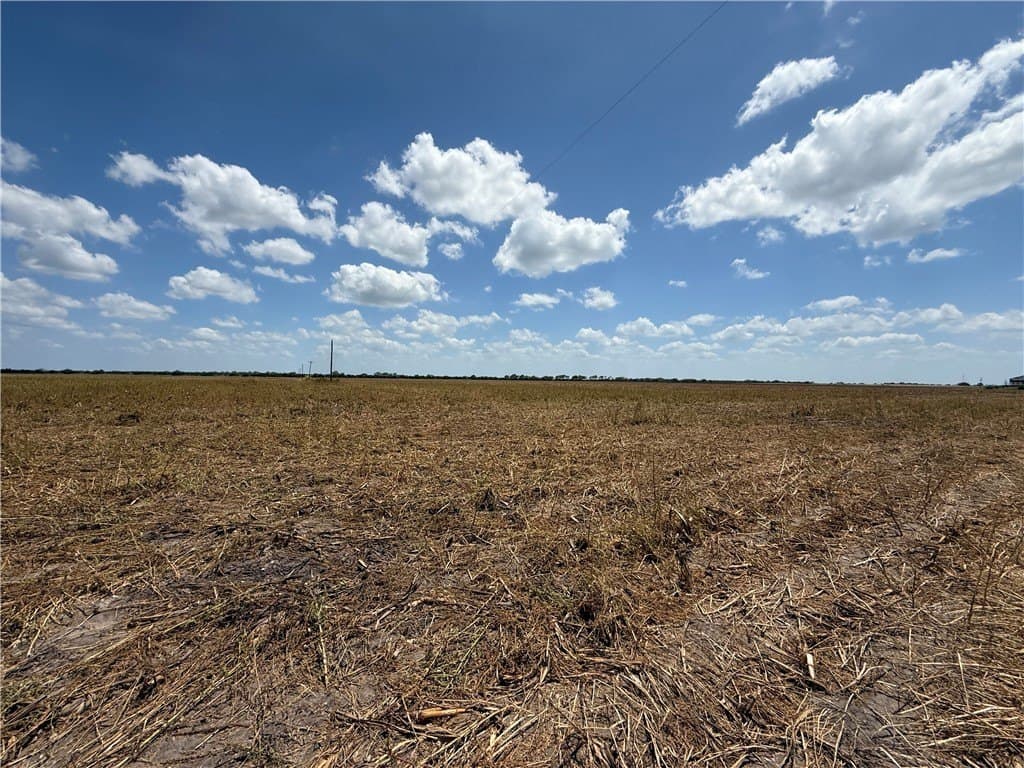 100.93 acres in Live Oak County gallery image 3
