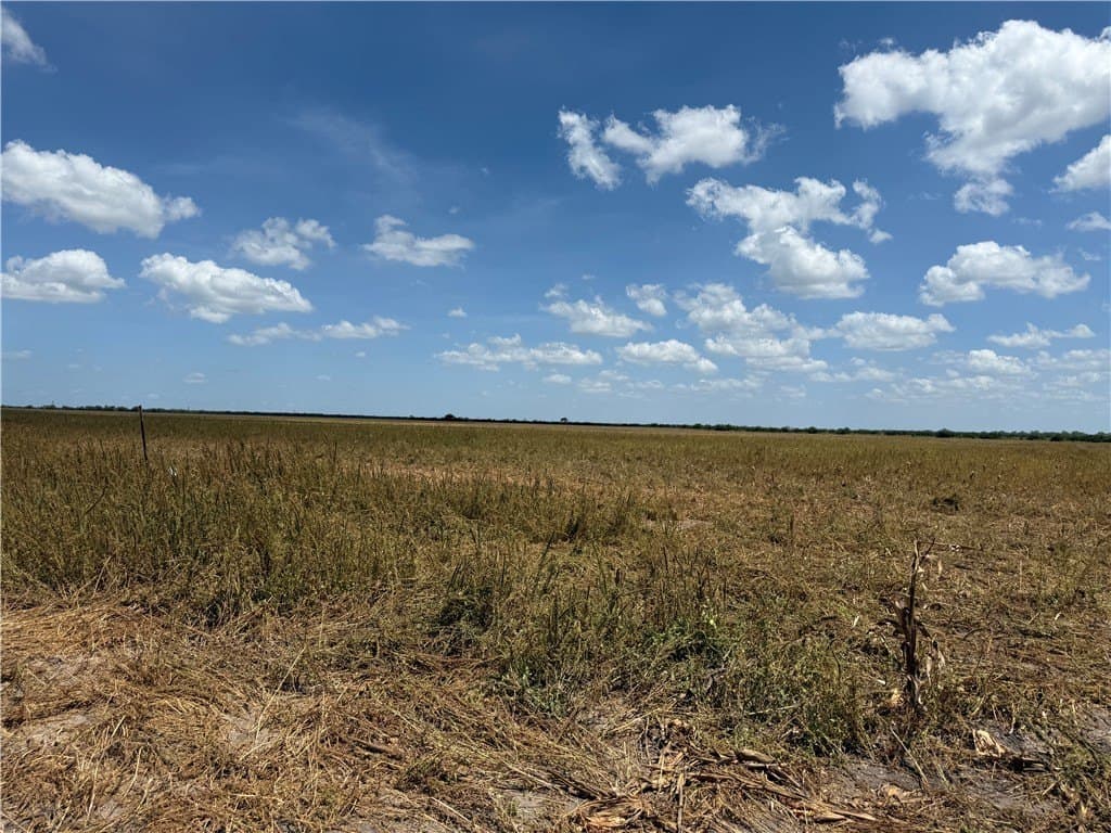 100.93 acres in Live Oak County gallery image 2