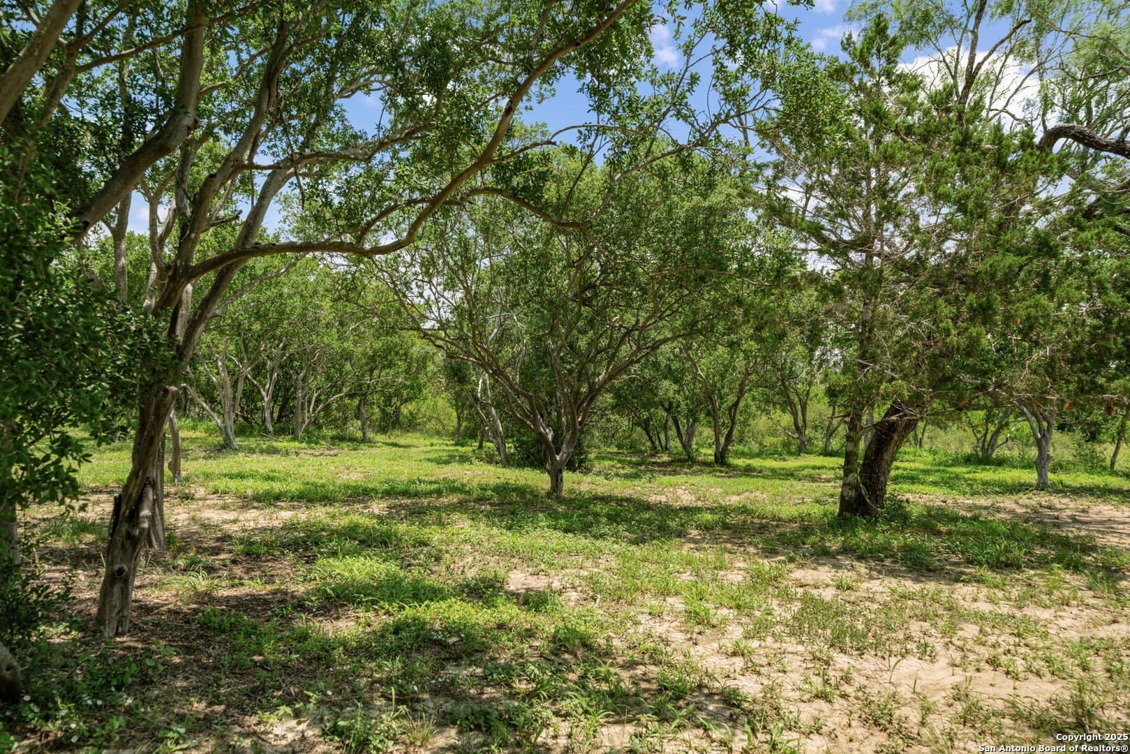 2.2 acres in Medina County - photo 9