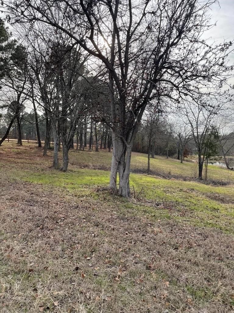 2.53 acres in Henderson County featured view