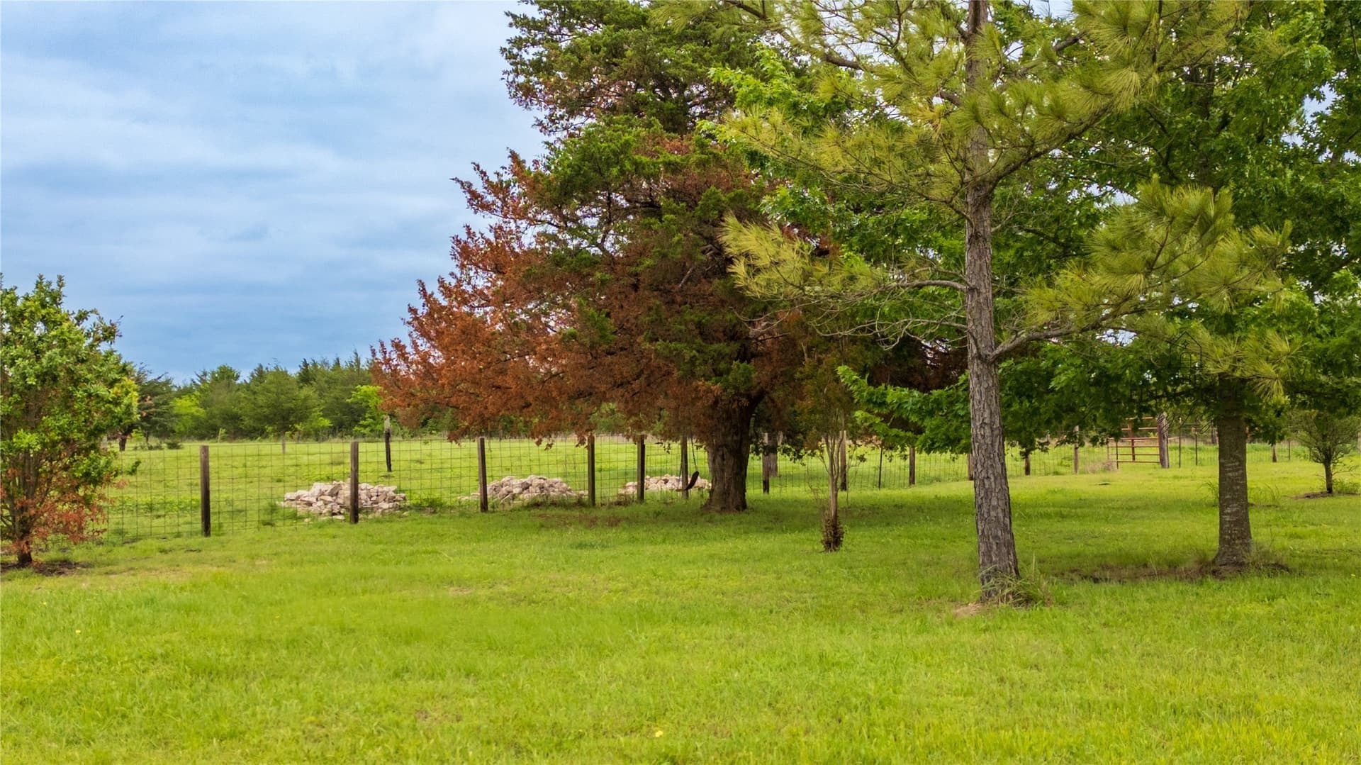 10 acres in Hunt County - photo 15