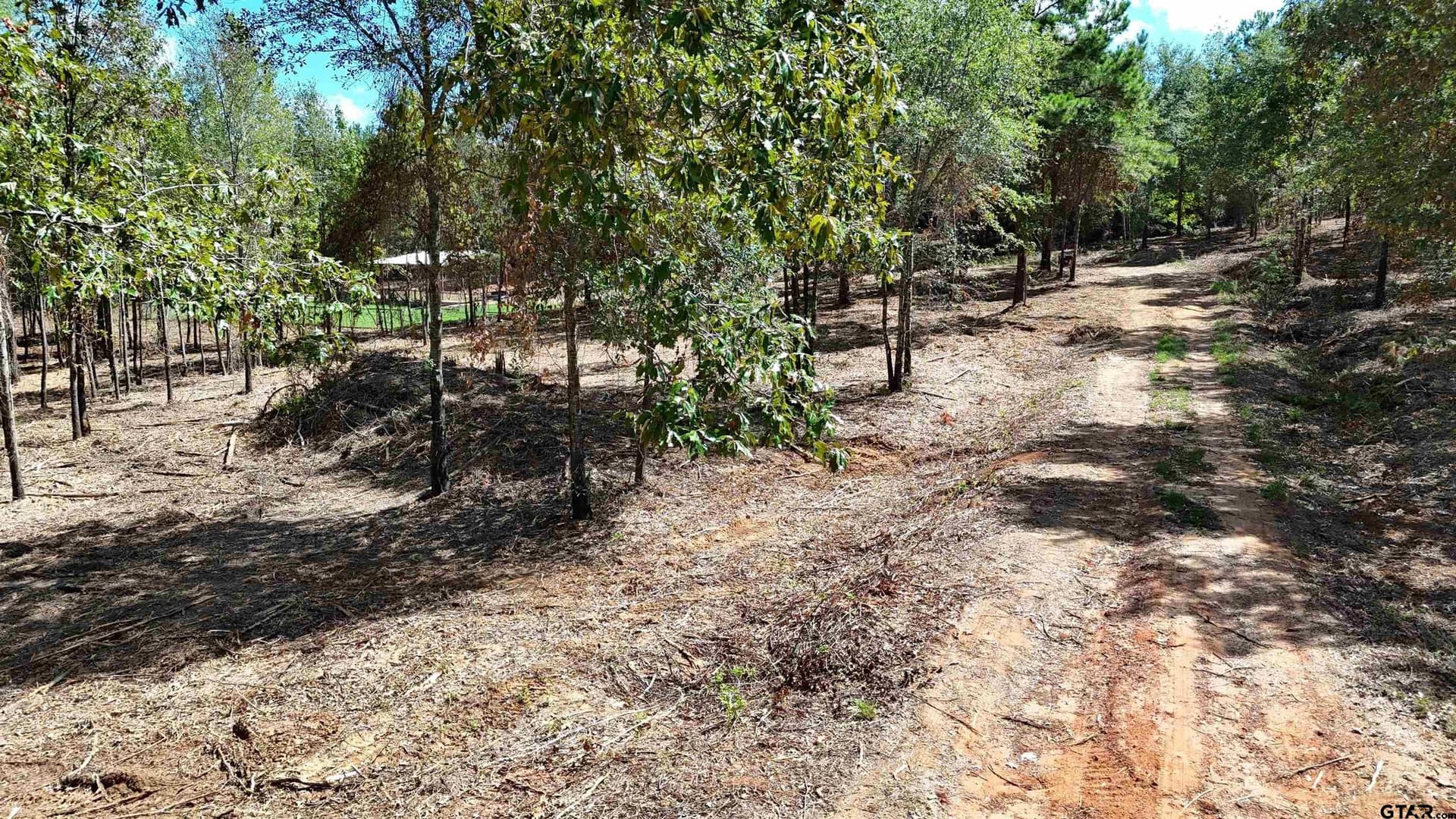 7.96 acres in Smith County - photo 9