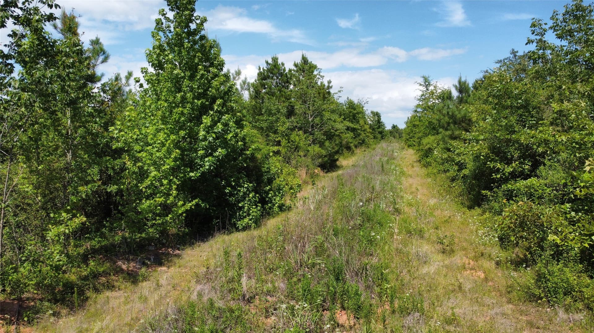 30.06 acres in Bowie County - photo 9