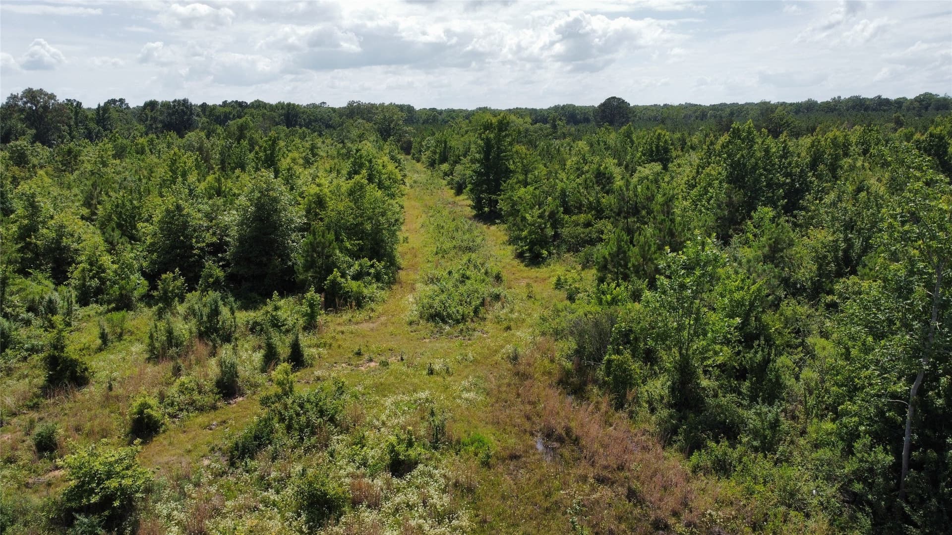 30.06 acres in Bowie County - photo 10