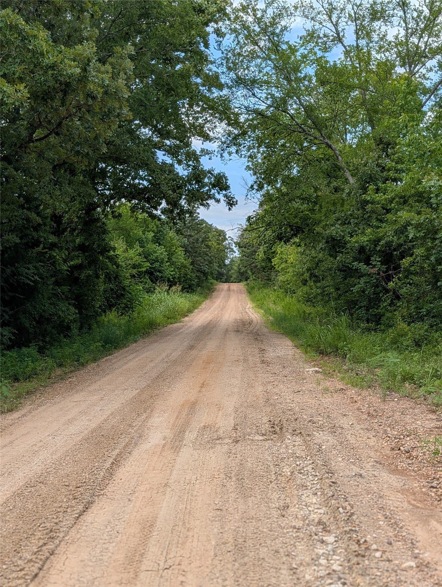 30.06 acres in Bowie County - photo 7