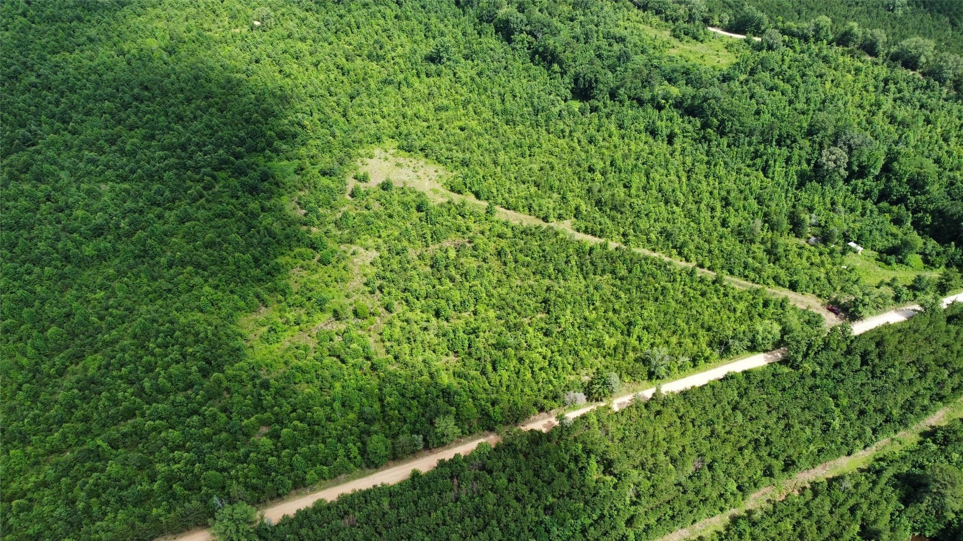 30.06 acres in Bowie County - photo 4