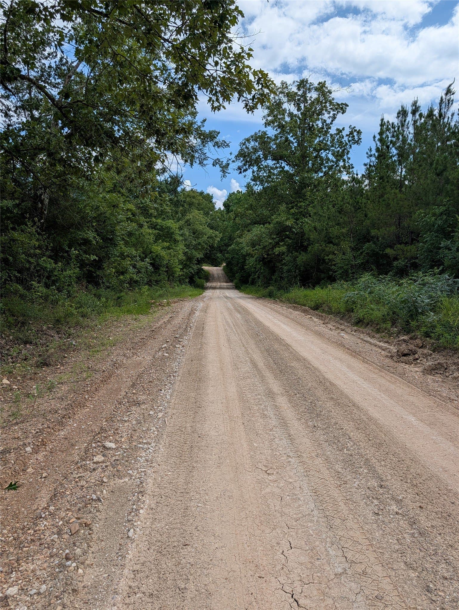 30.06 acres in Bowie County - photo 6