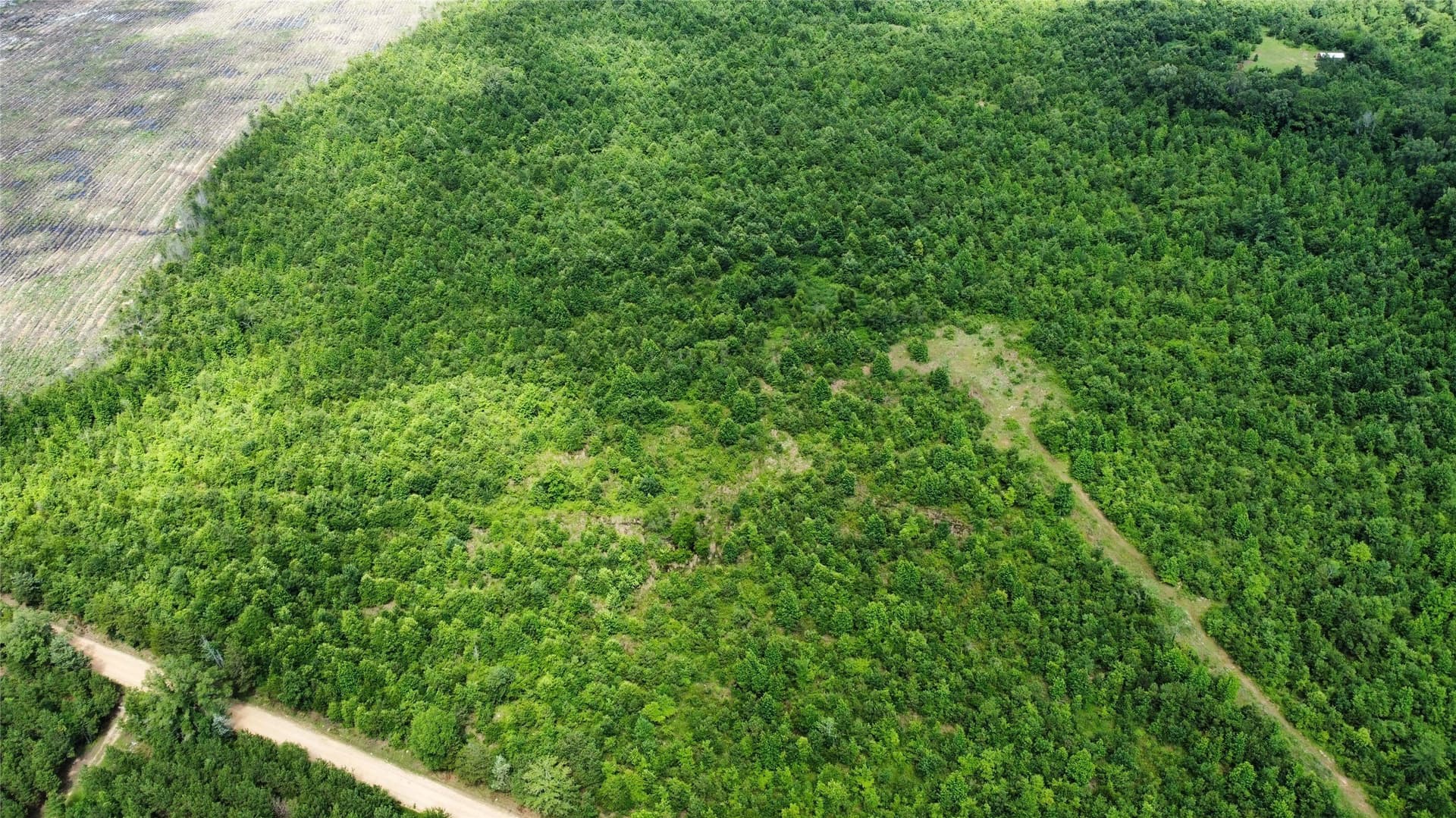 30.06 acres in Bowie County - photo 2
