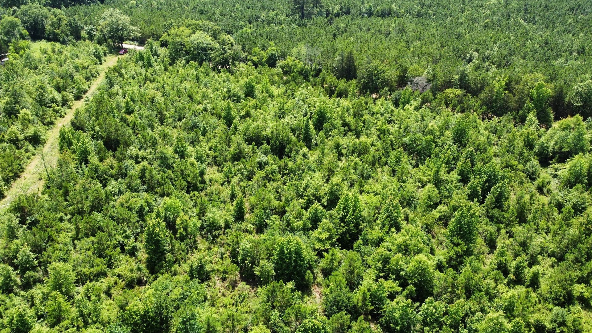 30.06 acres in Bowie County - photo 5