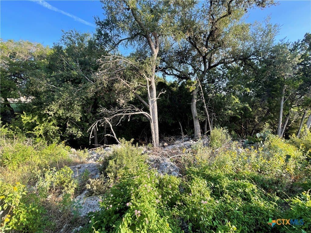 0.43 acres in Comal County - photo 6