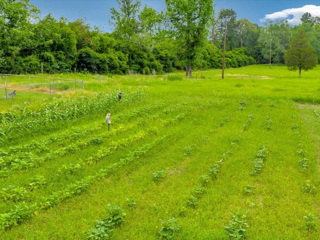37.44 acres in Texas County - photo 32