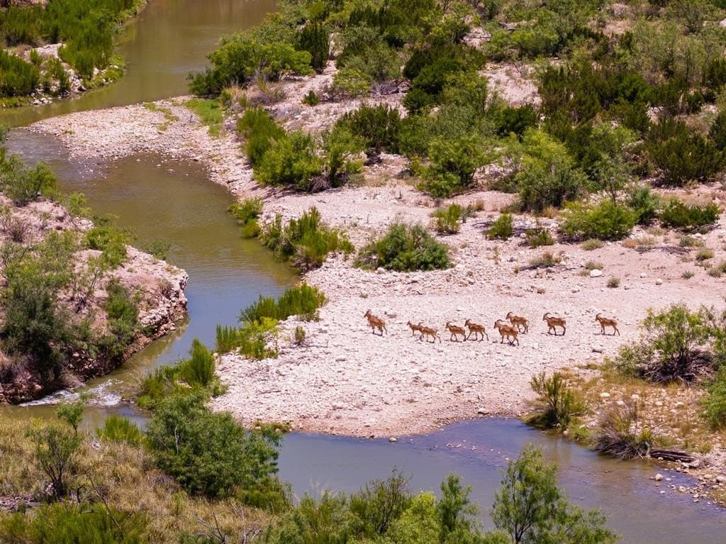 851 acres in Crockett County