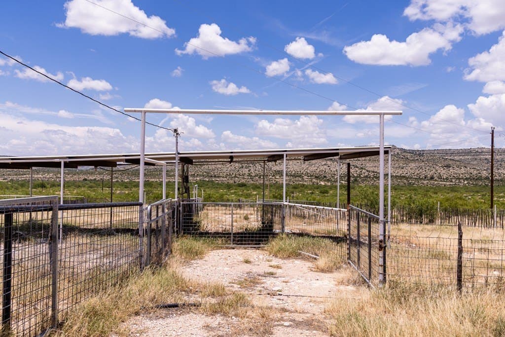 851 acres in Crockett County featured view