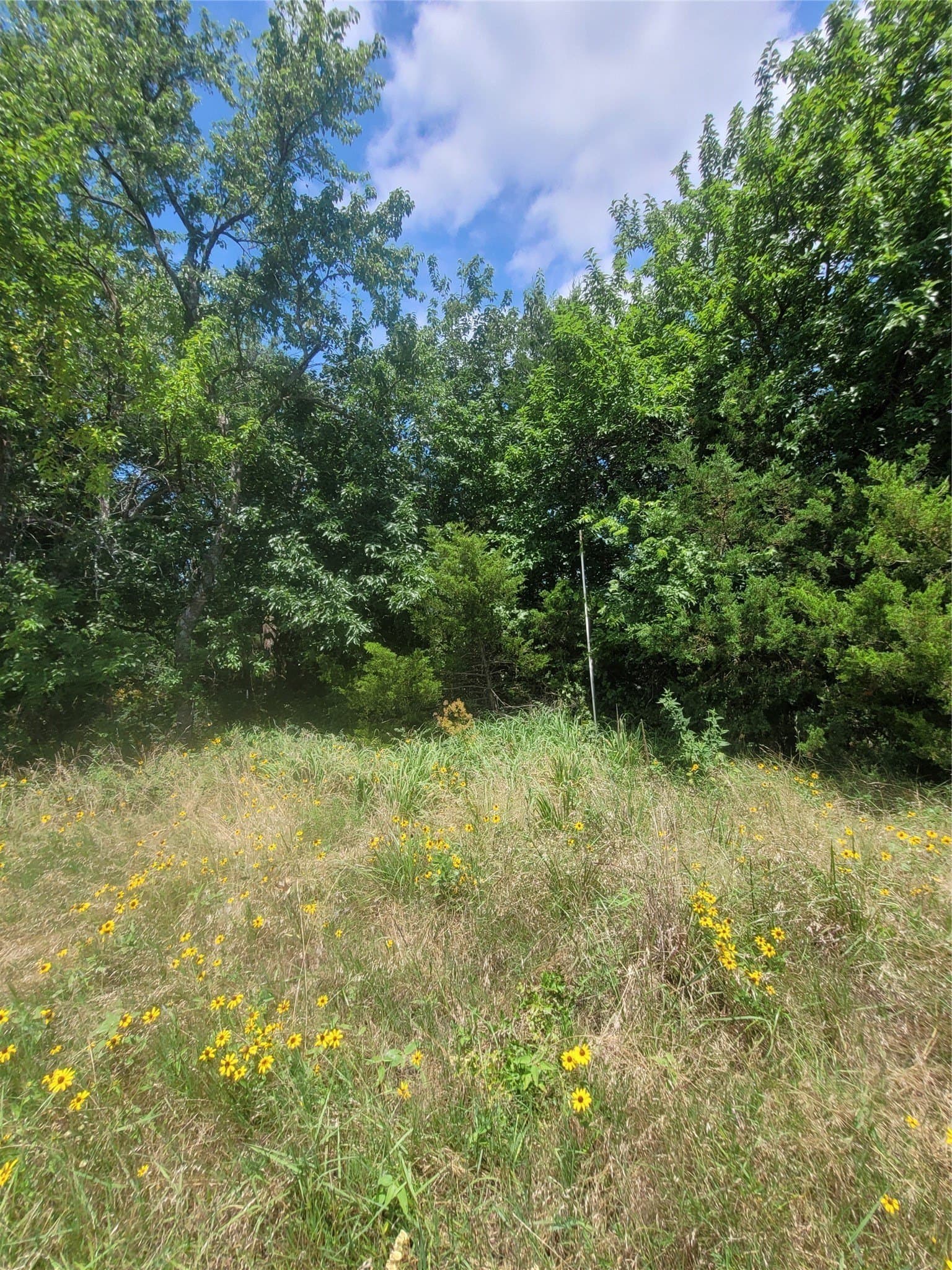 4 acres in Hopkins County - photo 5