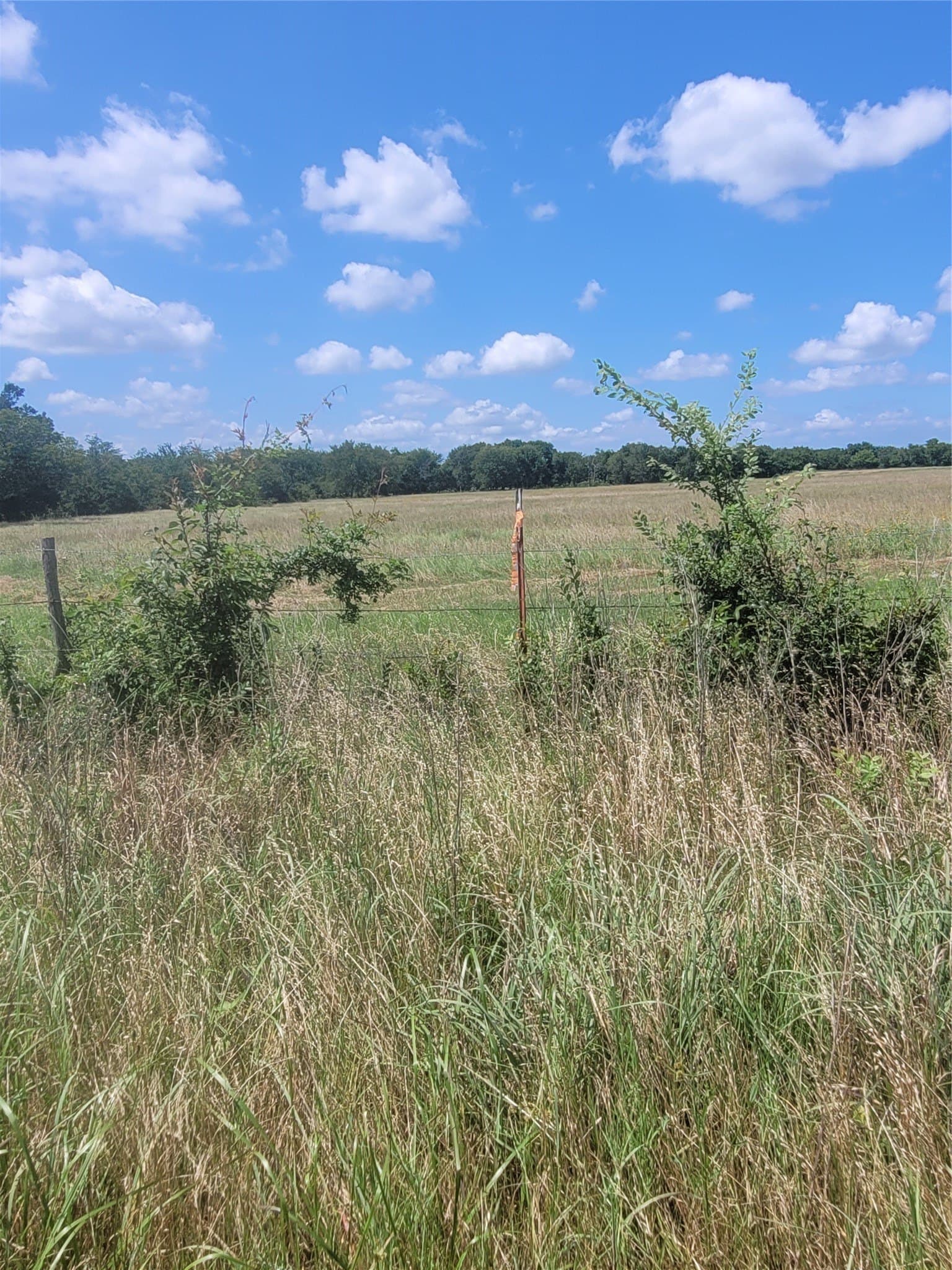 4 acres in Hopkins County - photo 3